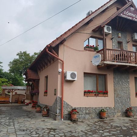 Pensiunea Lorincz *** Panzio Sovata Exterior photo